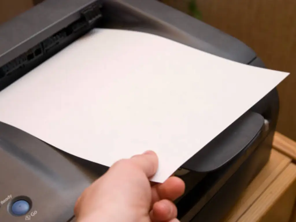 epson printer not printing black